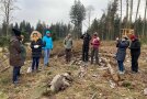 Teilnehmerinnen haben im Wald aus Naturmaterialien Phantasiebäume gebaut