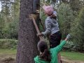 Mädchen steht auf einer Holzleiter und leuchtet mit der Taschenlampe in den  Fledermauskasten