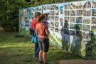 drei Personen betrachten eine Plakatwand mit vielen Fotos über das Jugendwaldheim. 