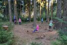 Kinder klettern auf einem aufgebauten Niederseilgarten im Wald