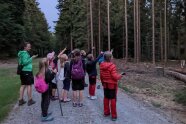 Kindergruppe steht auf Forstweg, alle schauen und deuten nach oben um Fledermäuse zu sehen.