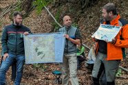 Drei Förster halten Karte des Naturwalds im Wald hoch