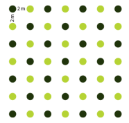 Pflanzskizze: Pflanzverband 2 x 2 Meter