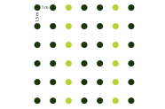 Pflanzskizze: Pflanzverband 1 x 1,5 Meter