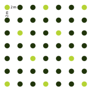 Pflanzskizze: Pflanzverband 2 x 2 Meter
