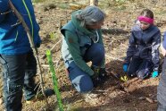 Försterin kniet mit Schülerin auf dem Waldboden, sie pflanzen gemeinsam eine kleine Eiche