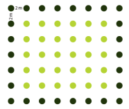 Pflanzskizze: Pflanzverband 2 x 2 Meter