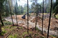 Bagger in ausgehobener Matschgrube im Wald