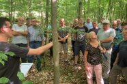 Mehrere Menschen stehen im Wald und blicken nach oben.