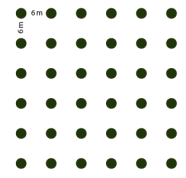 Pflanzskizze: Pflanzverband 6 x 6 Meter