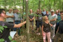 Mehrere Menschen stehen im Wald und blicken nach oben.