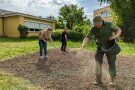 Personen streuen Samen auf Erde