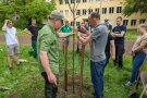 der gepflanzte Apfelbaum wird von zwei Personen mit Pfosten fixiert