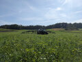 Schlepper bringt Gülle in Feld aus