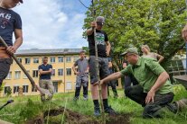 Ein Apfelbaum wird gemeinsam gepflanzt