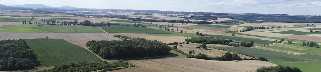 Panoramabild von Weisen, Feldern und Wälder