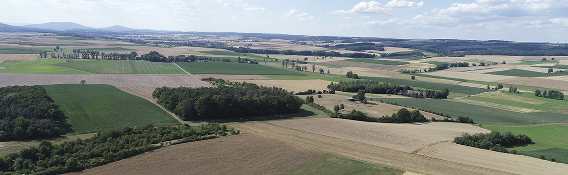 Blick aus der Vogelperspektive auf Felder, Wiesen und Wälder