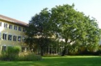Schulgebäude mit grünem Baum davor